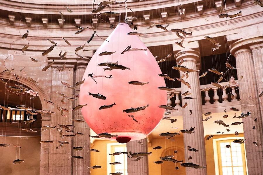 Laure Prouvost à la Vieille Charité