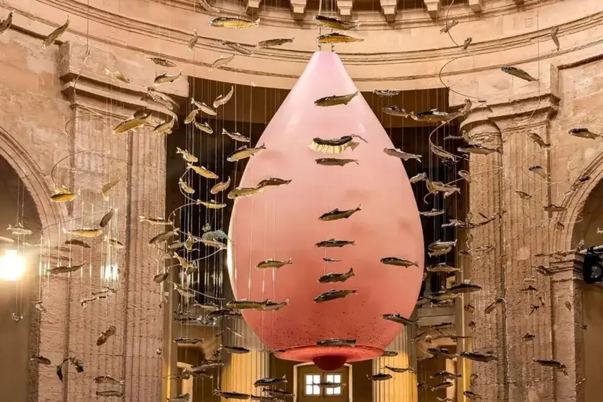 Laure Prouvost à la Vieille Charité