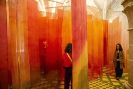 « Sentience », le voyage esthétique des sens  à l’Abbaye de Maubuisson